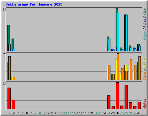 Daily usage for January 2023